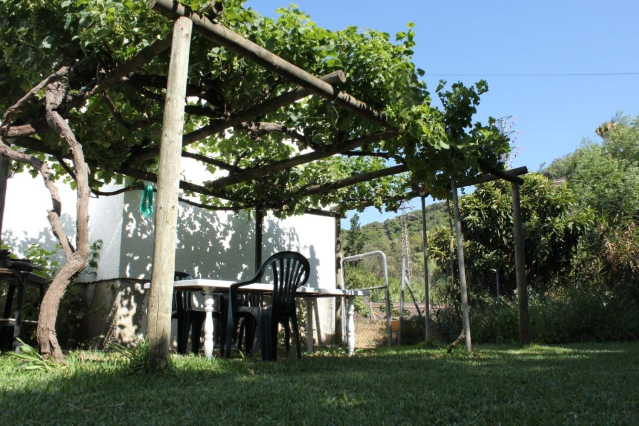 Casa La Maceta Villa Cádiz Exterior foto