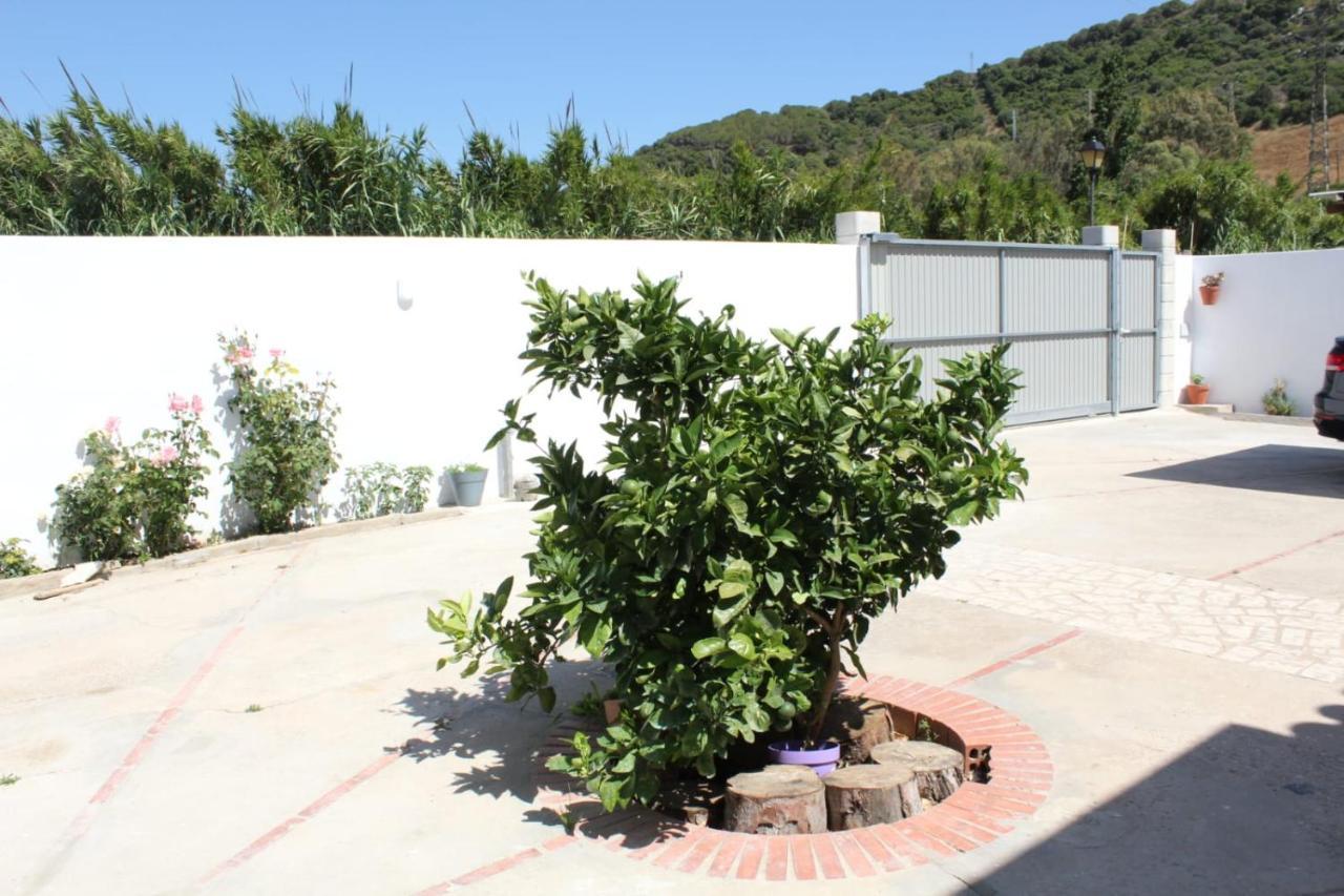 Casa La Maceta Villa Cádiz Exterior foto